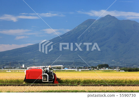 收穫風景 5590730