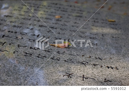 Kaneko Misuzu Park Poetry on a hill Kaneko Misuzu Park Poetry on a hill 5591012
