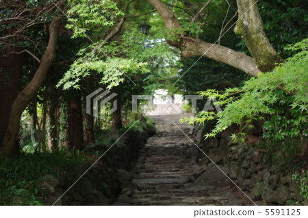 一條安靜的道路 一條安靜的道路 5591125