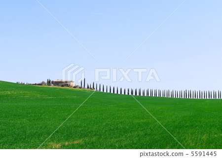 Tuscany Val d'Orcia 5591445