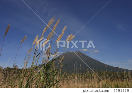 羊蹄山 5591519