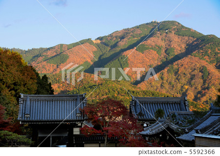 Mt. Hiei in autumn color 5592366