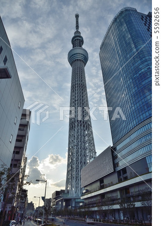 東京天空樹 東京天空樹 5592656