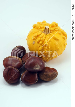 Pumpkin and chestnut 5592661