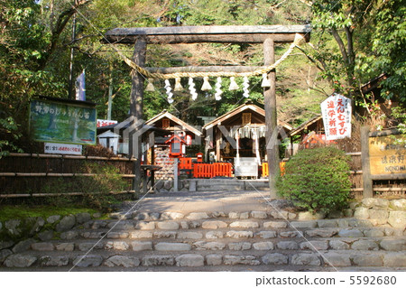 京都嵐山野宮神社黑木鳥居 5592680