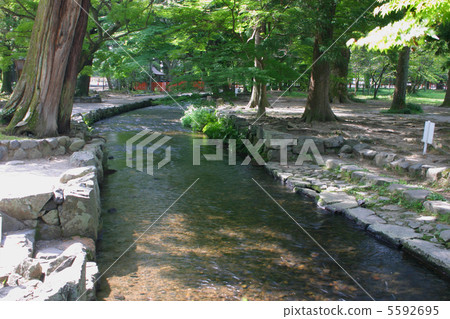 Ogawa if Kyoto Kamigamo Shrine Ogawa if Kyoto Kamigamo Shrine 5592695