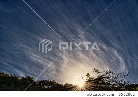 朝陽在山上 5592862