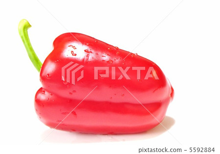 Colorful red paprika Colorful red paprika 5592884