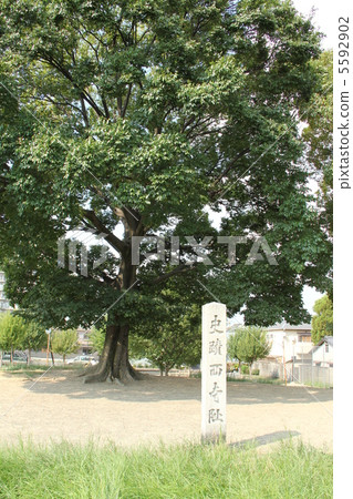 Saiji Temple Saiji Temple 5592902