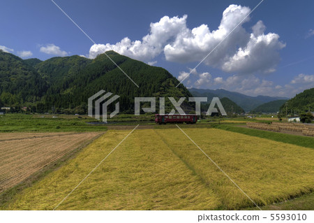 秋天的長良川鐵路 5593010