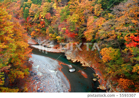 Oku Kinugawa秋葉 5593307