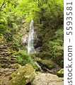The waterfall of the summer pleasure rain. 5593581