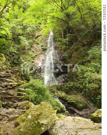 夏天的雨水瀑布。 5593581
