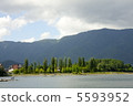 lake kawaguchi, lake, trees 5593952