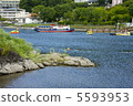 lake kawaguchi, green, verdure 5593953