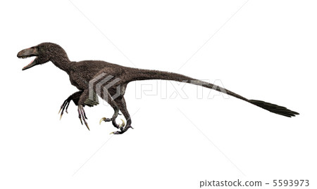 Dynonics (with feathers and decorative feathers) Dynonics (with feathers and decorative feathers) 5593973
