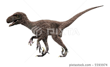 Diononics(帶羽毛) Diononics(帶羽毛) 5593974