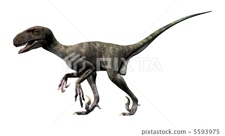 Diononics(沒有羽毛) Diononics(沒有羽毛) 5593975