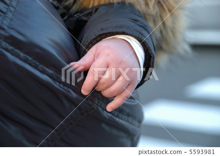 孩子的手 5593981