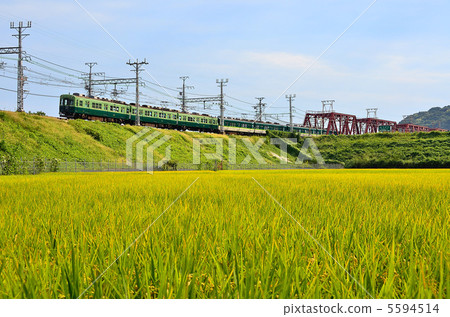 鐵路京阪火車2600系列八幡市Inaho稻田秋天 5594514