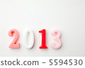 2013 白背景 蛇年 5594530