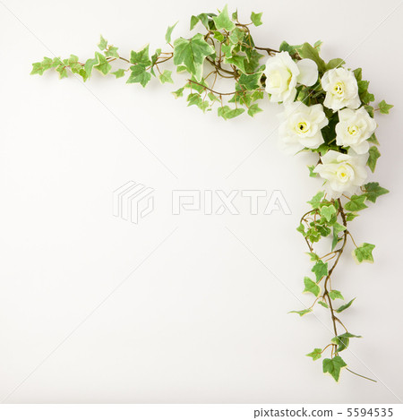 常春藤和鮮花 5594535