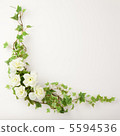 常春藤和鮮花 5594536