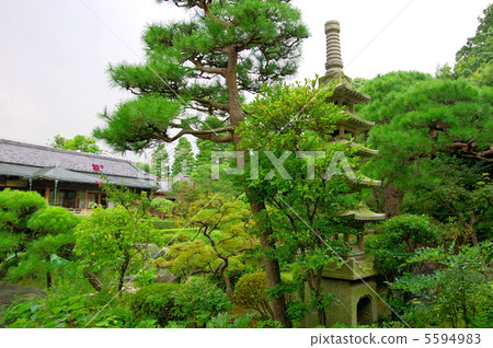 Shibamata Takanori no Ryoikien Shibamata Takanori no Ryoikien 5594983