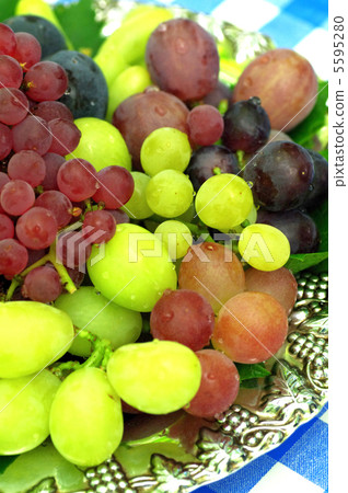 Grapes of the world 5595280