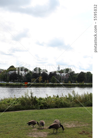 Surrounding Harvard University Surrounding Harvard University 5595832