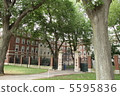 周圍的哈佛大學 5595836