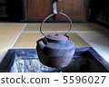 Scenery with a hearth 5596027
