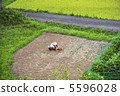 Japanese landscape 5596028