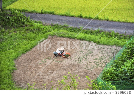 Japanese landscape 5596028