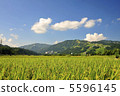 Japanese landscape 5596145