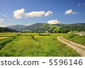 Japanese landscape 5596146