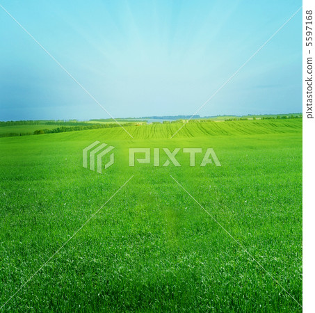 summer landscape summer landscape 5597168