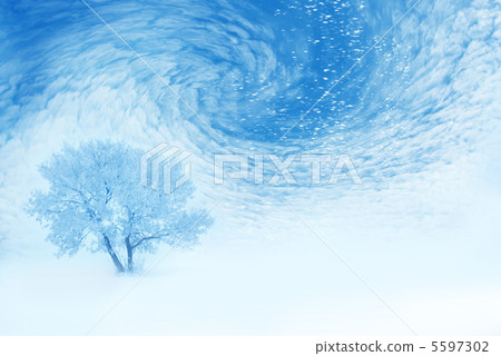 Winter Winter 5597302