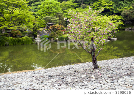 The sand dune of Minami Pond and the beach and Monogamatsu 5598026