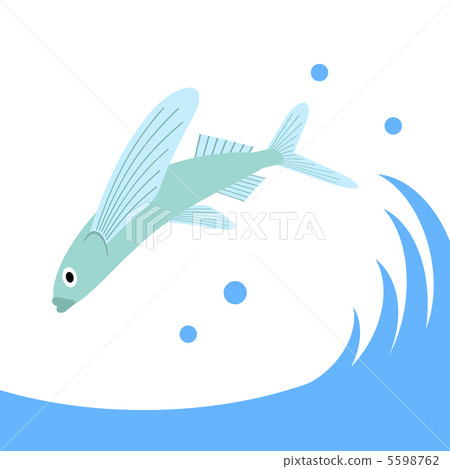 Flying fish 5598762
