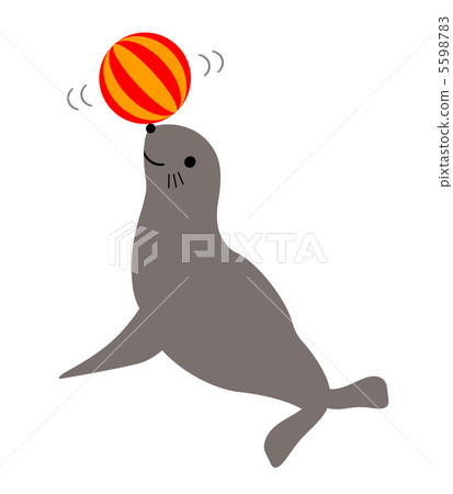 海獅表演 5598783