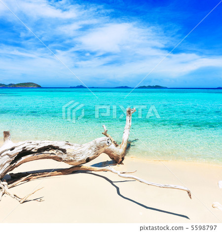Tropical beach Malcapuya Tropical beach Malcapuya 5598797