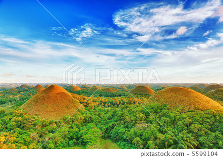 Chocolate Hills 5599104