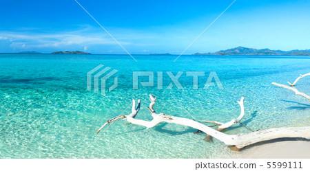 Tropical beach panorama Tropical beach panorama 5599111