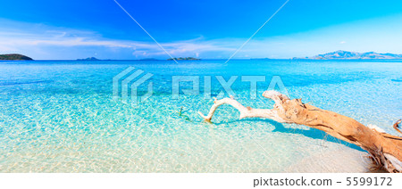 Tropical beach panorama Tropical beach panorama 5599172