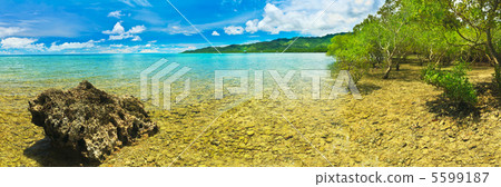 Tropical panorama Tropical panorama 5599187