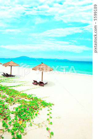 Sandy tropical beach Sandy tropical beach 5599189