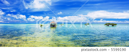 Tropical panorama Tropical panorama 5599190