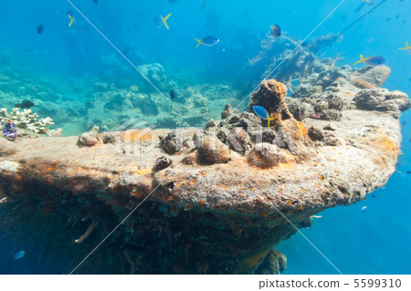 Shipwreck Shipwreck 5599310