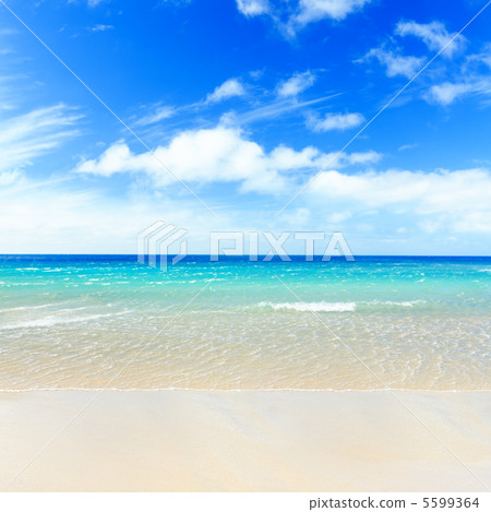 Tropical beach 5599364